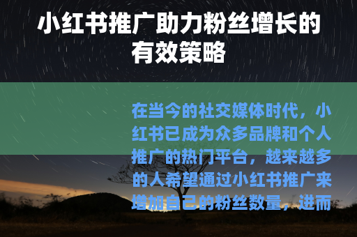 小红书推广助力粉丝增长的有效策略