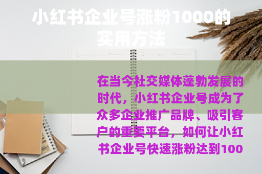 小红书企业号涨粉1000的实用方法