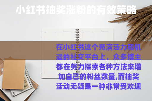 小红书抽奖涨粉的有效策略