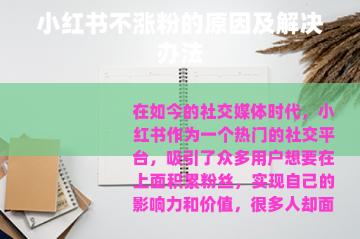 小红书不涨粉的原因及解决办法