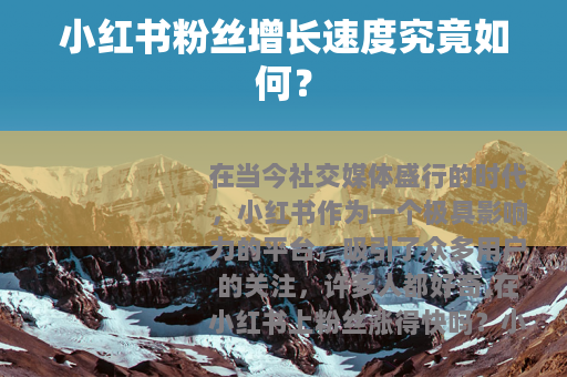 小红书粉丝增长速度究竟如何？