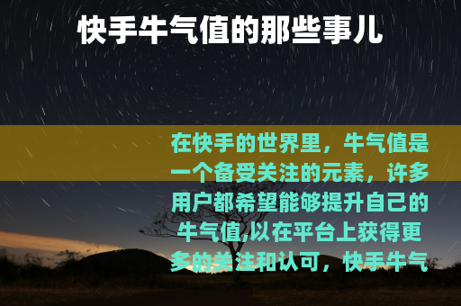 快手牛气值的那些事儿