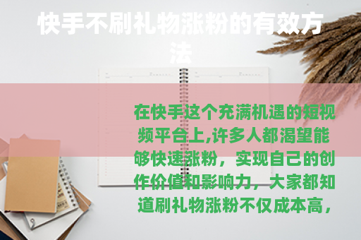 快手不刷礼物涨粉的有效方法