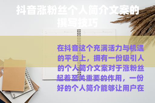 抖音涨粉丝个人简介文案的撰写技巧