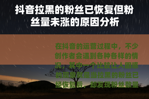 抖音拉黑的粉丝已恢复但粉丝量未涨的原因分析
