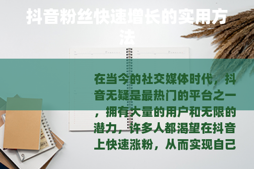 抖音粉丝快速增长的实用方法