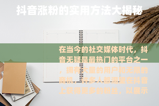 抖音涨粉的实用方法大揭秘