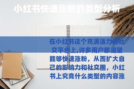 小红书快速涨粉的类型分析