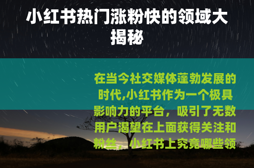小红书热门涨粉快的领域大揭秘