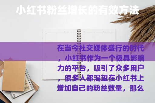小红书粉丝增长的有效方法