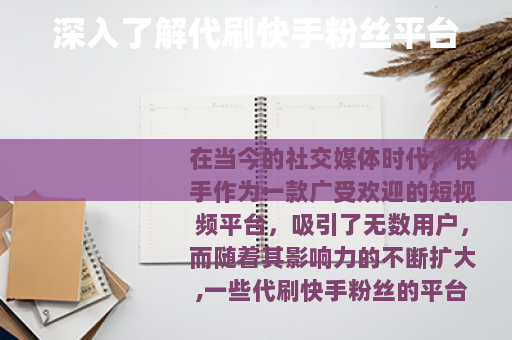 深入了解代刷快手粉丝平台