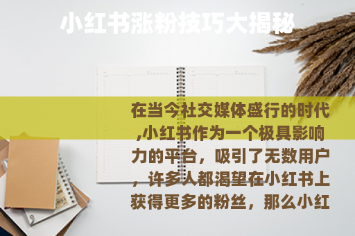 小红书涨粉技巧大揭秘