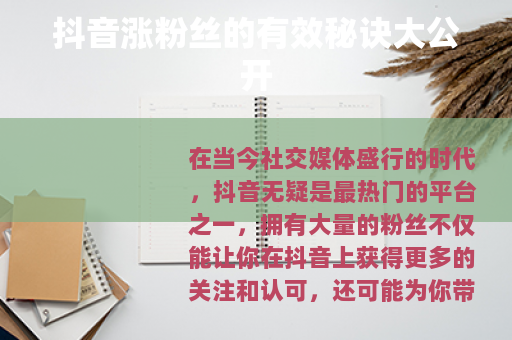 抖音涨粉丝的有效秘诀大公开