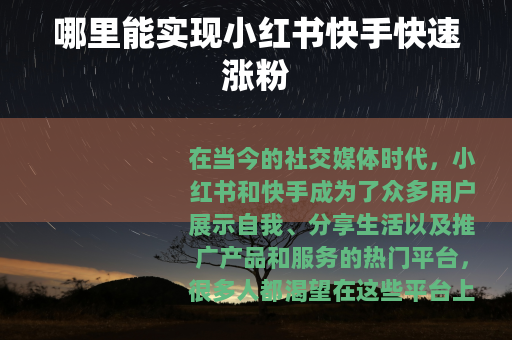 哪里能实现小红书快手快速涨粉