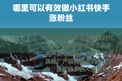 哪里可以有效做小红书快手涨粉丝