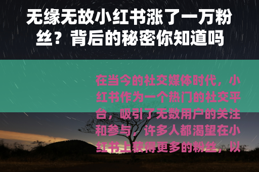 无缘无故小红书涨了一万粉丝？背后的秘密你知道吗