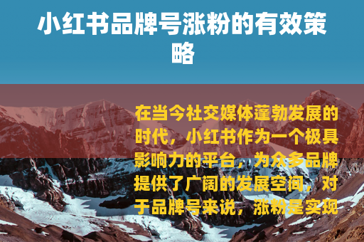 小红书品牌号涨粉的有效策略
