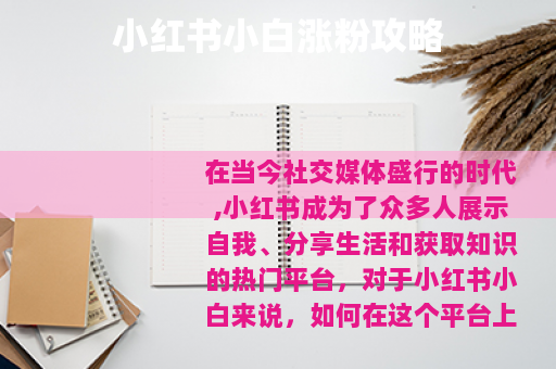 小红书小白涨粉攻略