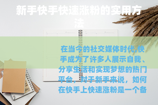 新手快手快速涨粉的实用方法