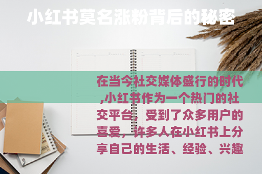 小红书莫名涨粉背后的秘密