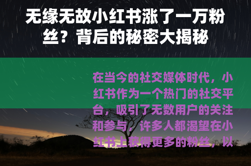 无缘无故小红书涨了一万粉丝？背后的秘密大揭秘
