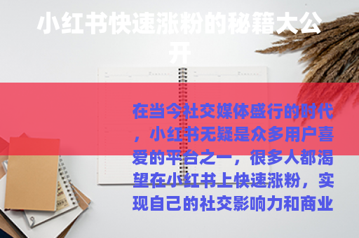 小红书快速涨粉的秘籍大公开