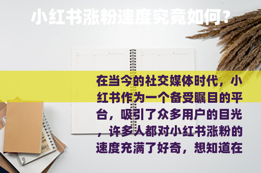 小红书涨粉速度究竟如何？