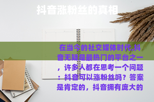 抖音涨粉丝的真相