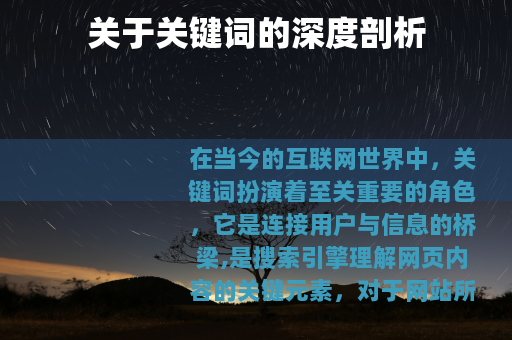 关于关键词的深度剖析