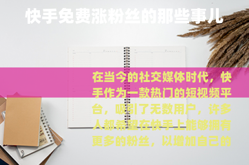 快手免费涨粉丝的那些事儿