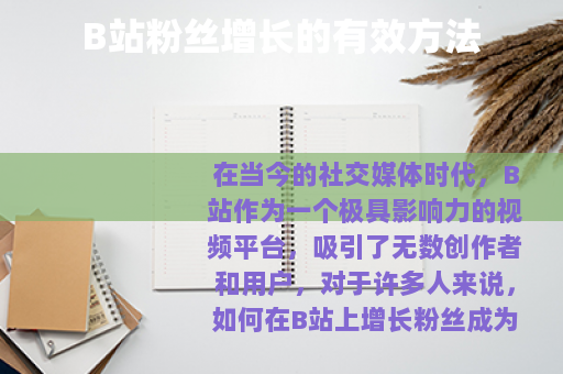 B站粉丝增长的有效方法