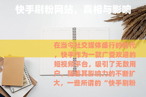 快手刷粉网站，真相与影响