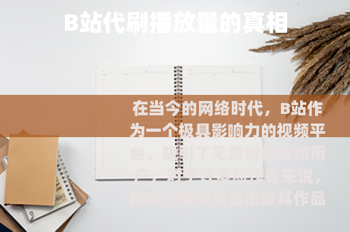 B站代刷播放量的真相