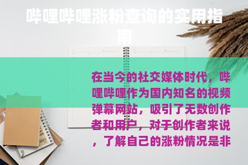 哔哩哔哩涨粉查询的实用指南