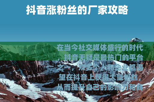 抖音涨粉丝的厂家攻略