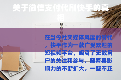 关于微信支付代刷快手的真相