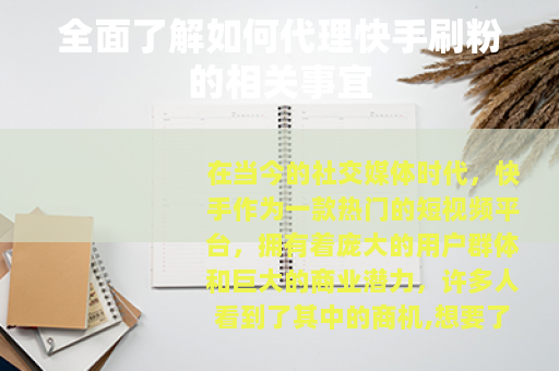 全面了解如何代理快手刷粉的相关事宜