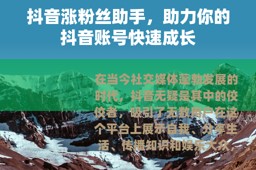抖音涨粉丝助手，助力你的抖音账号快速成长