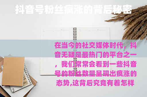 抖音号粉丝疯涨的背后秘密