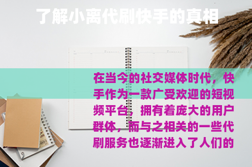 了解小离代刷快手的真相