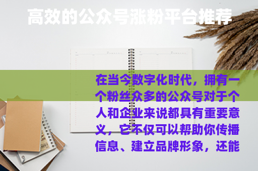 高效的公众号涨粉平台推荐