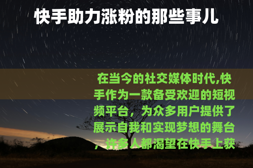 快手助力涨粉的那些事儿
