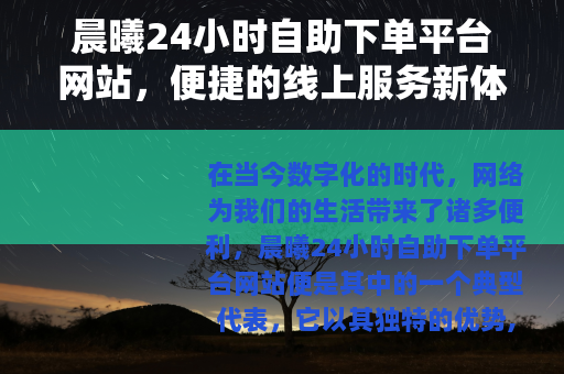 晨曦24小时自助下单平台网站，便捷的线上服务新体验