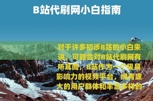 B站代刷网小白指南