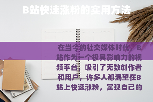 B站快速涨粉的实用方法