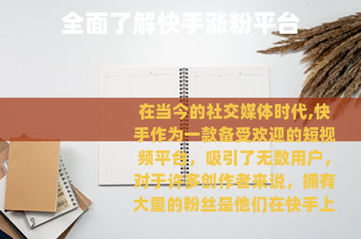 全面了解快手涨粉平台