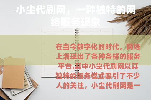 小尘代刷网，一种独特的网络服务现象
