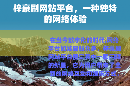 梓豪刷网站平台，一种独特的网络体验