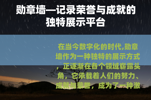 勋章墙—记录荣誉与成就的独特展示平台