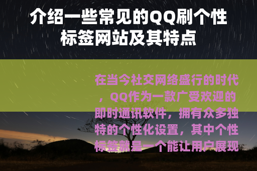 介绍一些常见的QQ刷个性标签网站及其特点